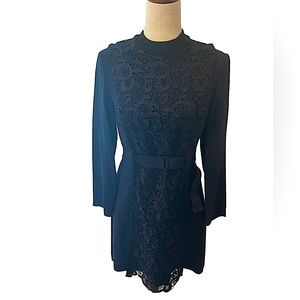 ALC Witchy Lace Front Belted Dress